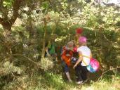 Lesní pedagogika aneb 3. a 4. ročník v přírodě